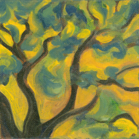 Yellow Sky (tree)