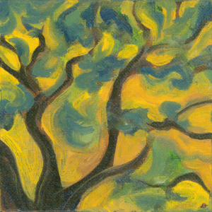Yellow Sky (tree)